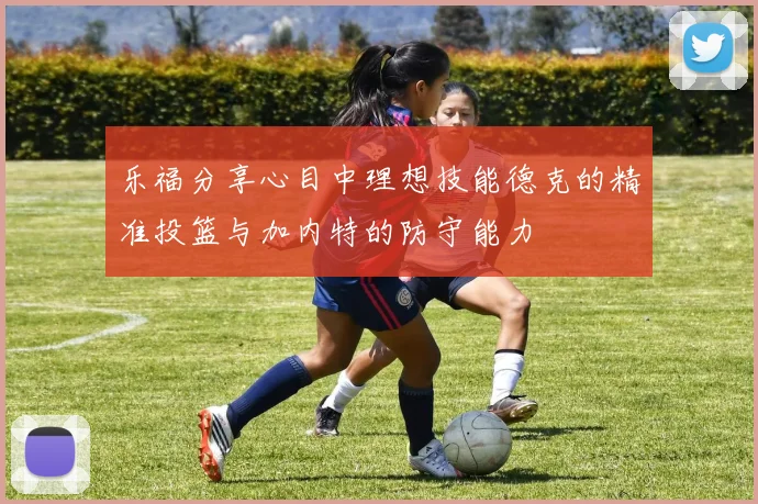 乐福分享心目中理想技能德克的精准投篮与加内特的防守能力